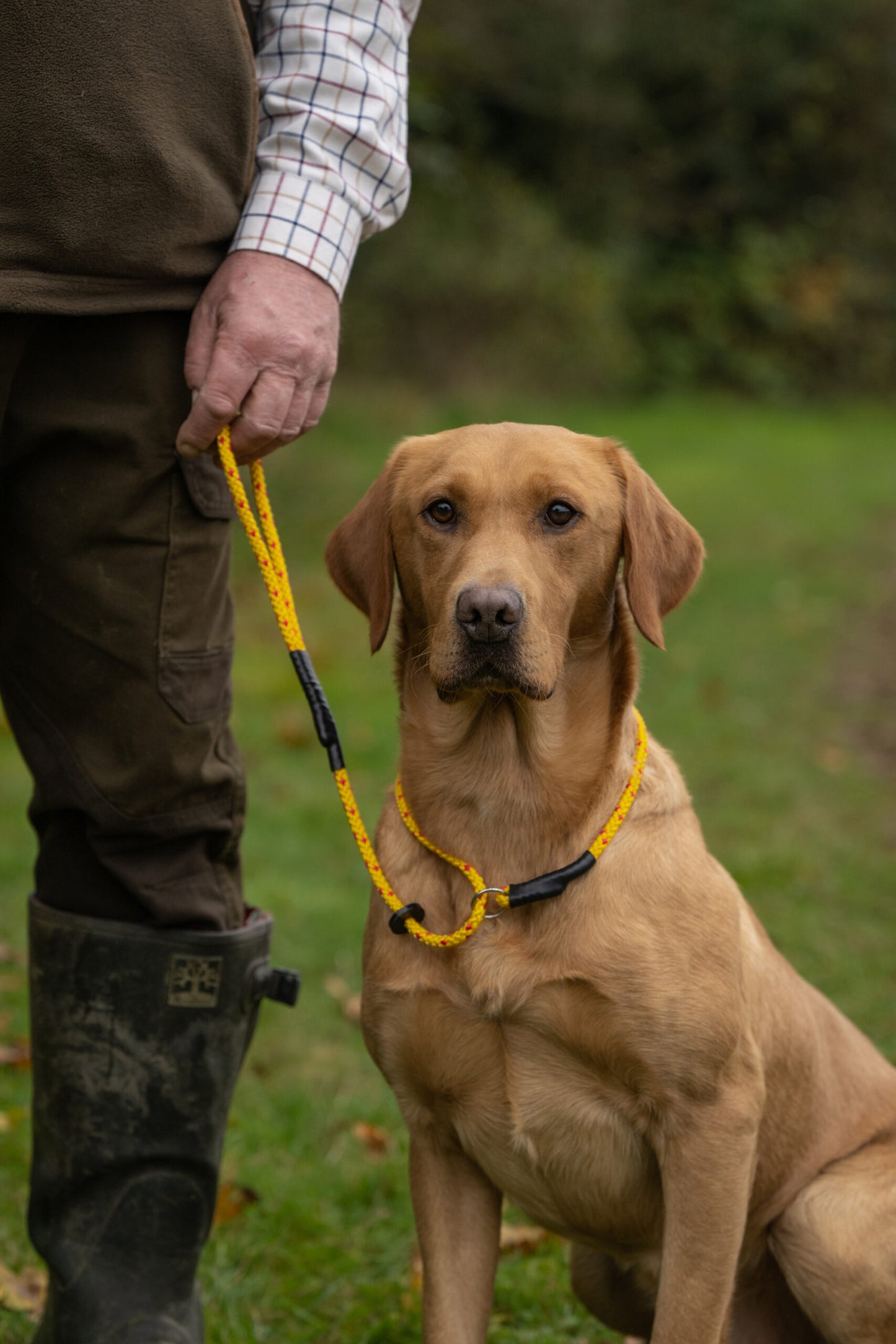 Retriever Training Slip Collar - 8mm image 1