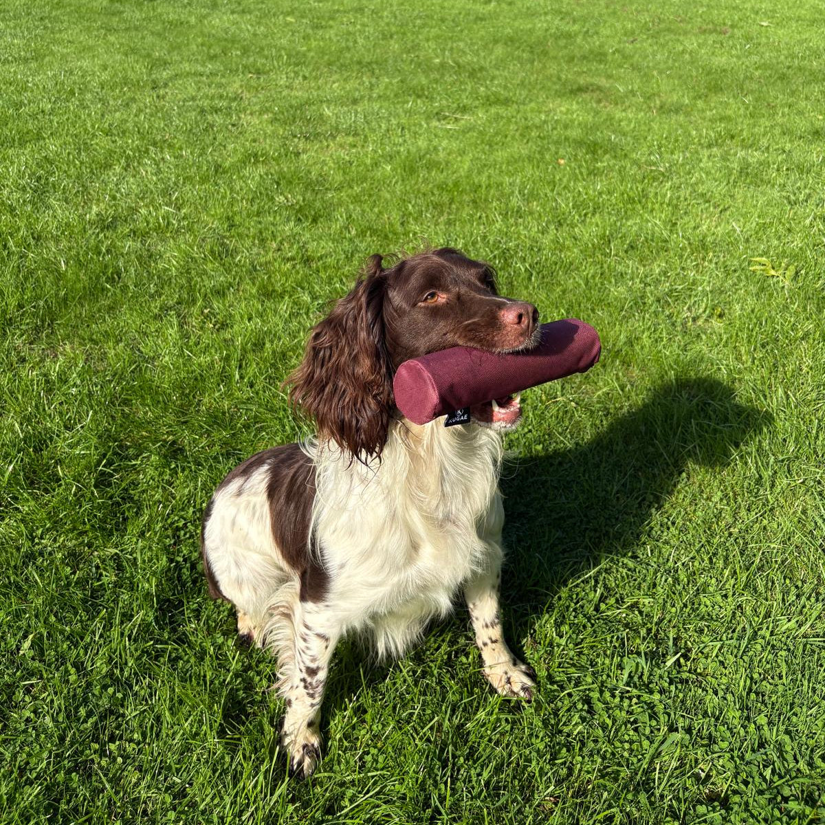 Kugae Equal End Lightweight Gundog Training Dummy – 2oz