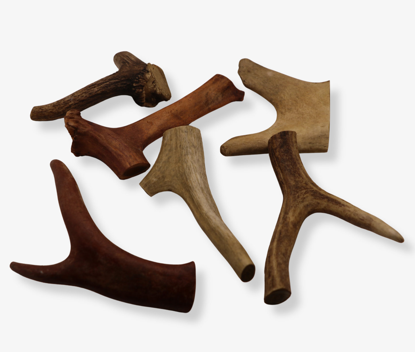 Natural Deer Antler Dog Chew