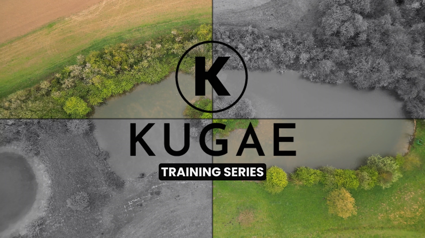 Heel Training for Gundogs – A Step-By-Step Guide