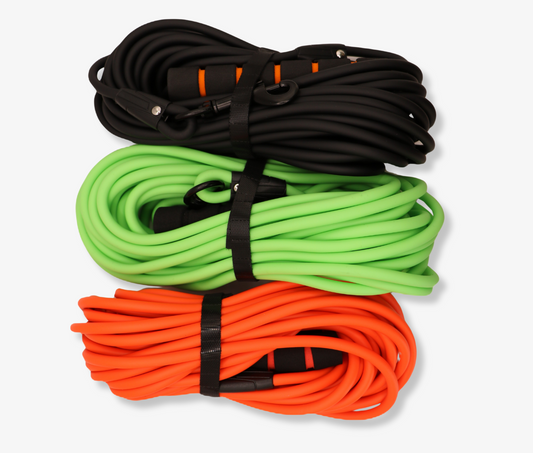 Why Long Leads Are Essential for Spaniel Training