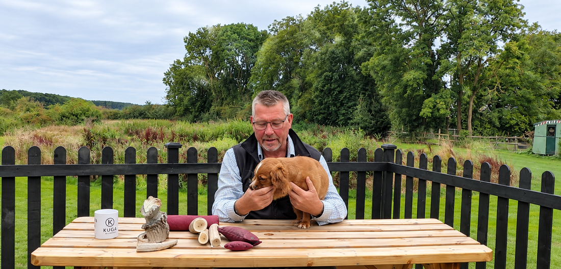 Your Puppy Bites – But When Does It Become a Problem?
