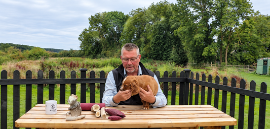 Your Puppy Bites – But When Does It Become a Problem?