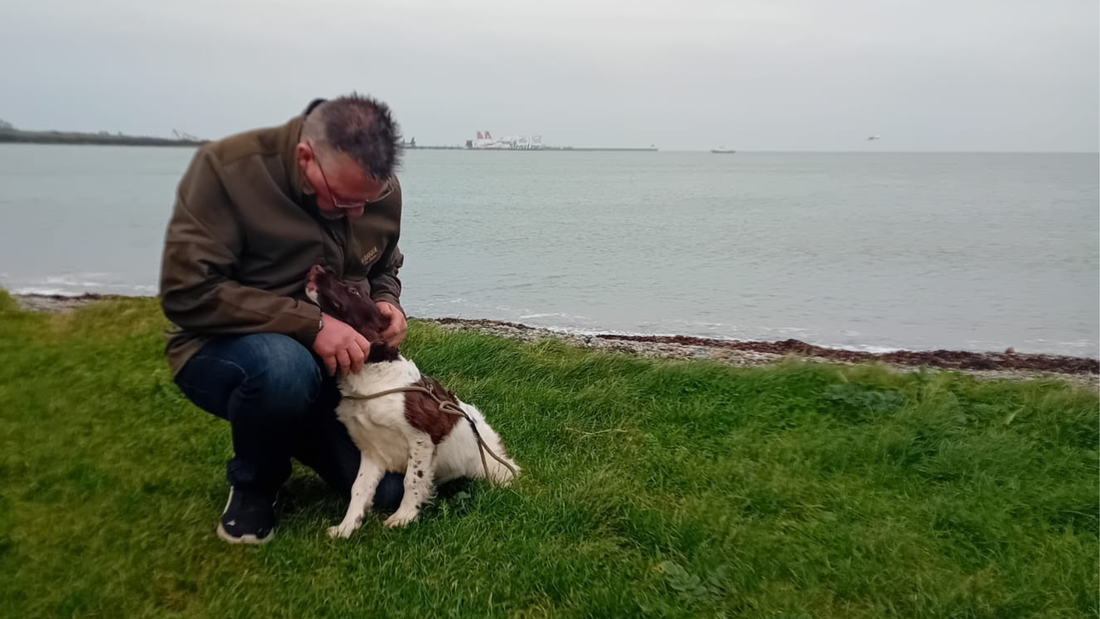 Puppy Update: Dano Begins His New Adventure in Ireland