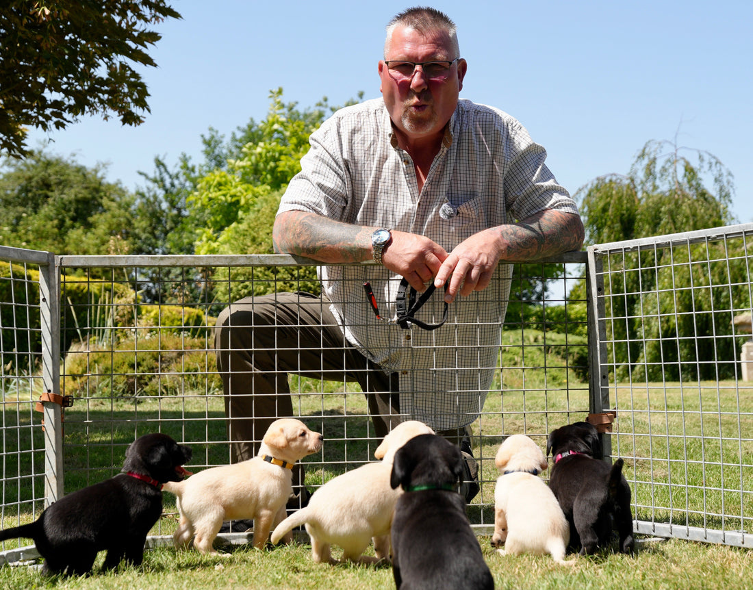 Puppy Update!
