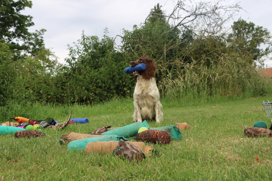 Spaniel Delivery Problems? Here's How to Build a Reliable Delivery
