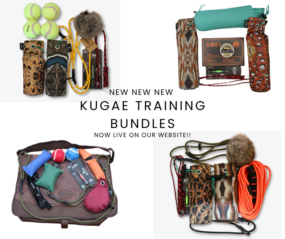 New Kugae Gundog Training Bundles: The Right Equipment for Every Stage of Training