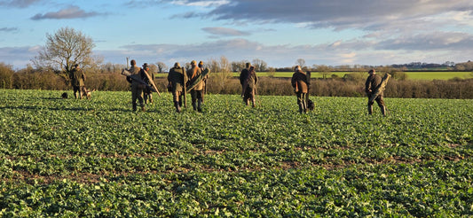 Driven Partridge Days in Lincolnshire Wolds 