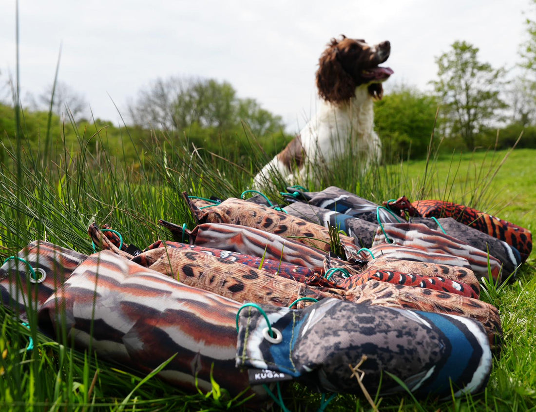 Choosing the Right Gundog Dummy – Kugae Dummy Size Guide