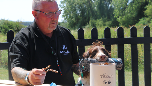 Why I Don’t Use Treats to Train My Gundogs
