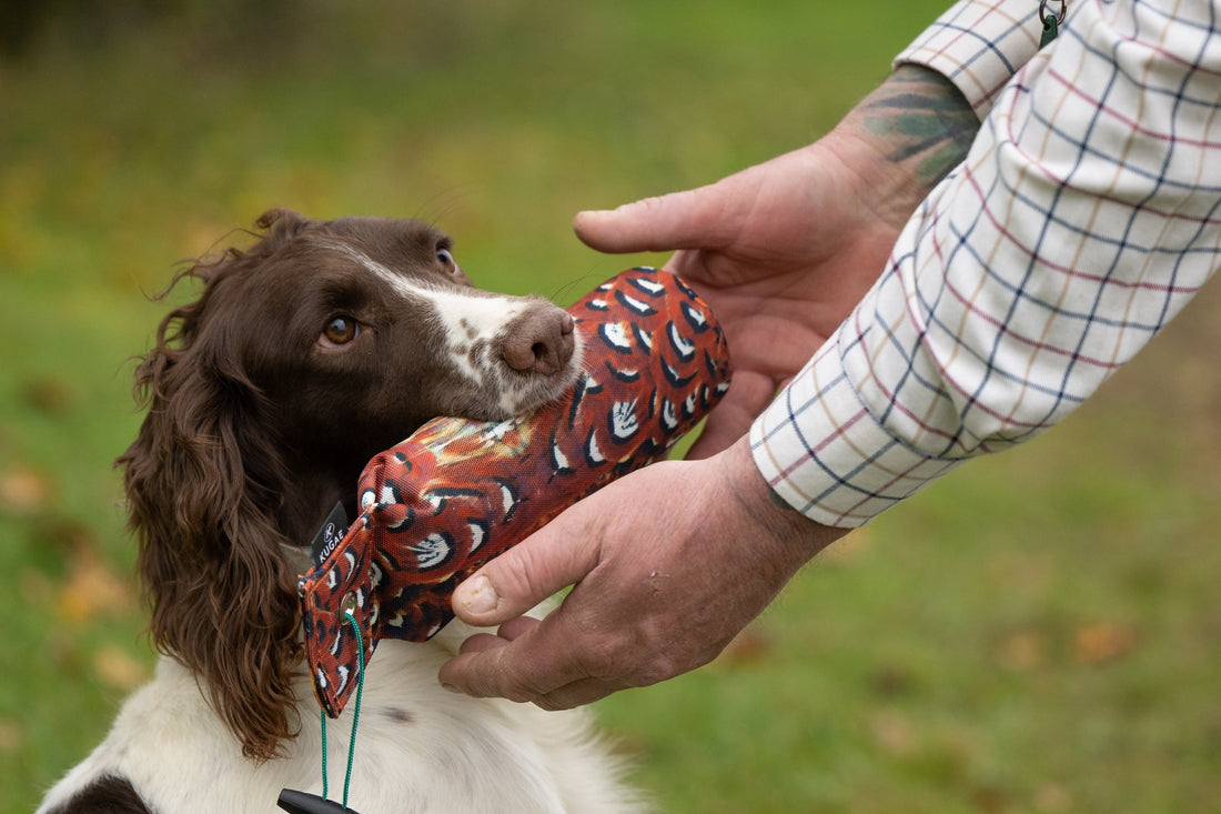 Gundog Training Dummy