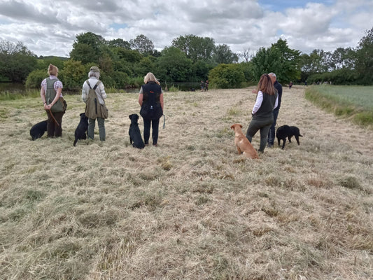 Rough Shooting Days - Guide & Tips