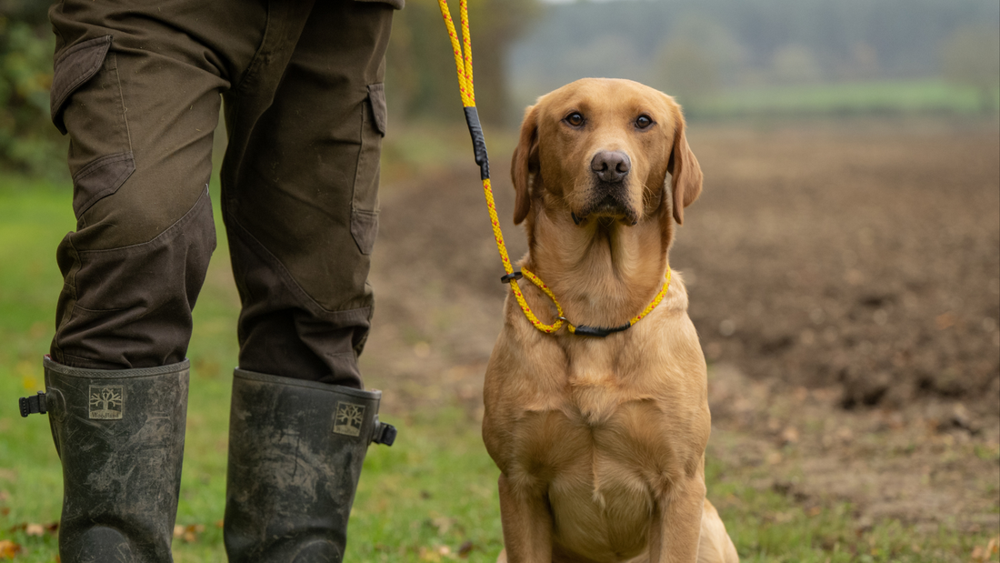 Why a Proper Slip Lead Matters in Early Training