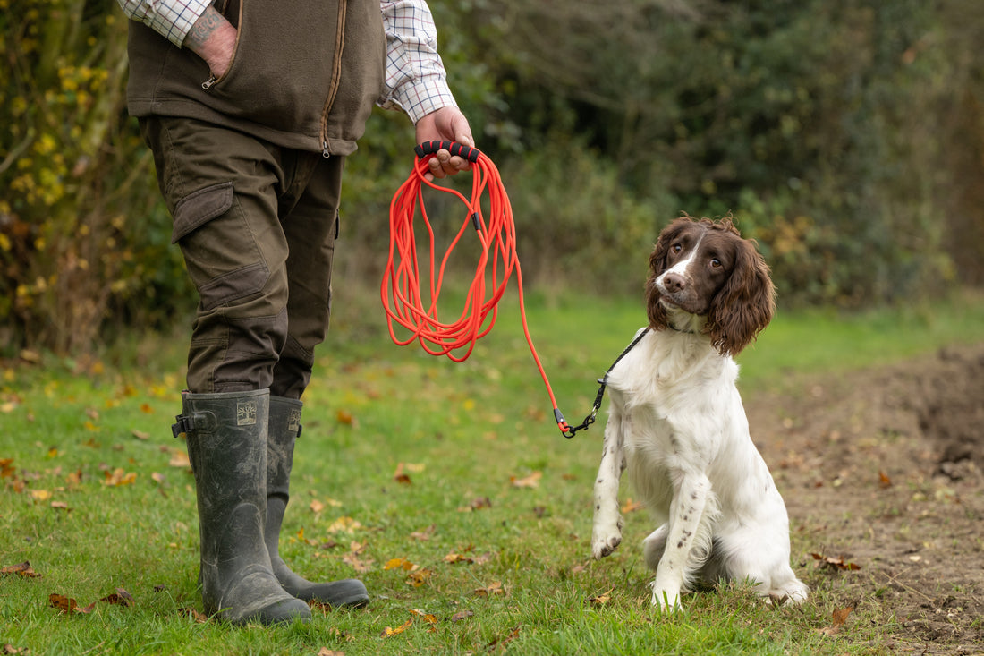 Why Long Leads Are Essential for Gundog Training