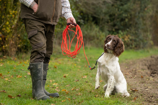 Why Long Leads Are Essential for Gundog Training