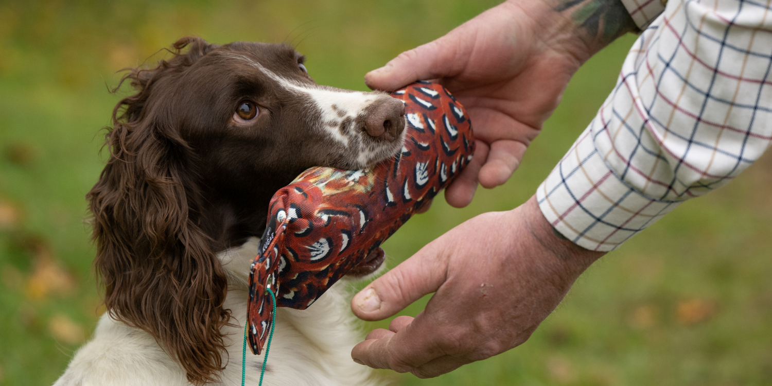 GunDog Training Equipment