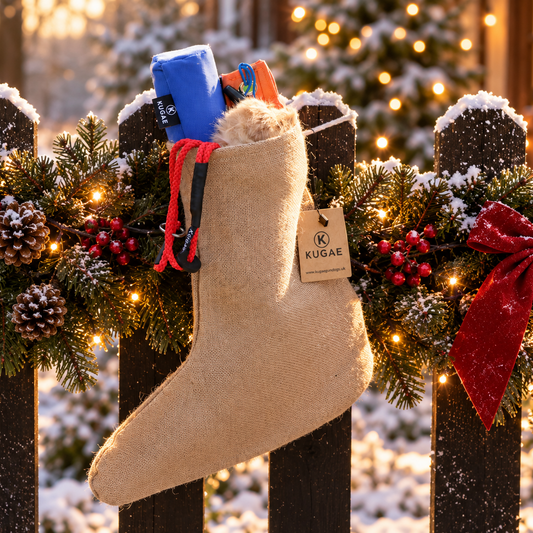 Dog Christmas Stocking – Retrieve Edition