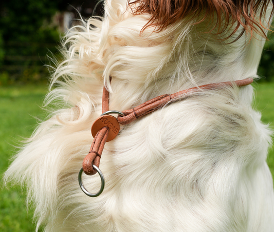 Kugae Leather Training Collar image 0