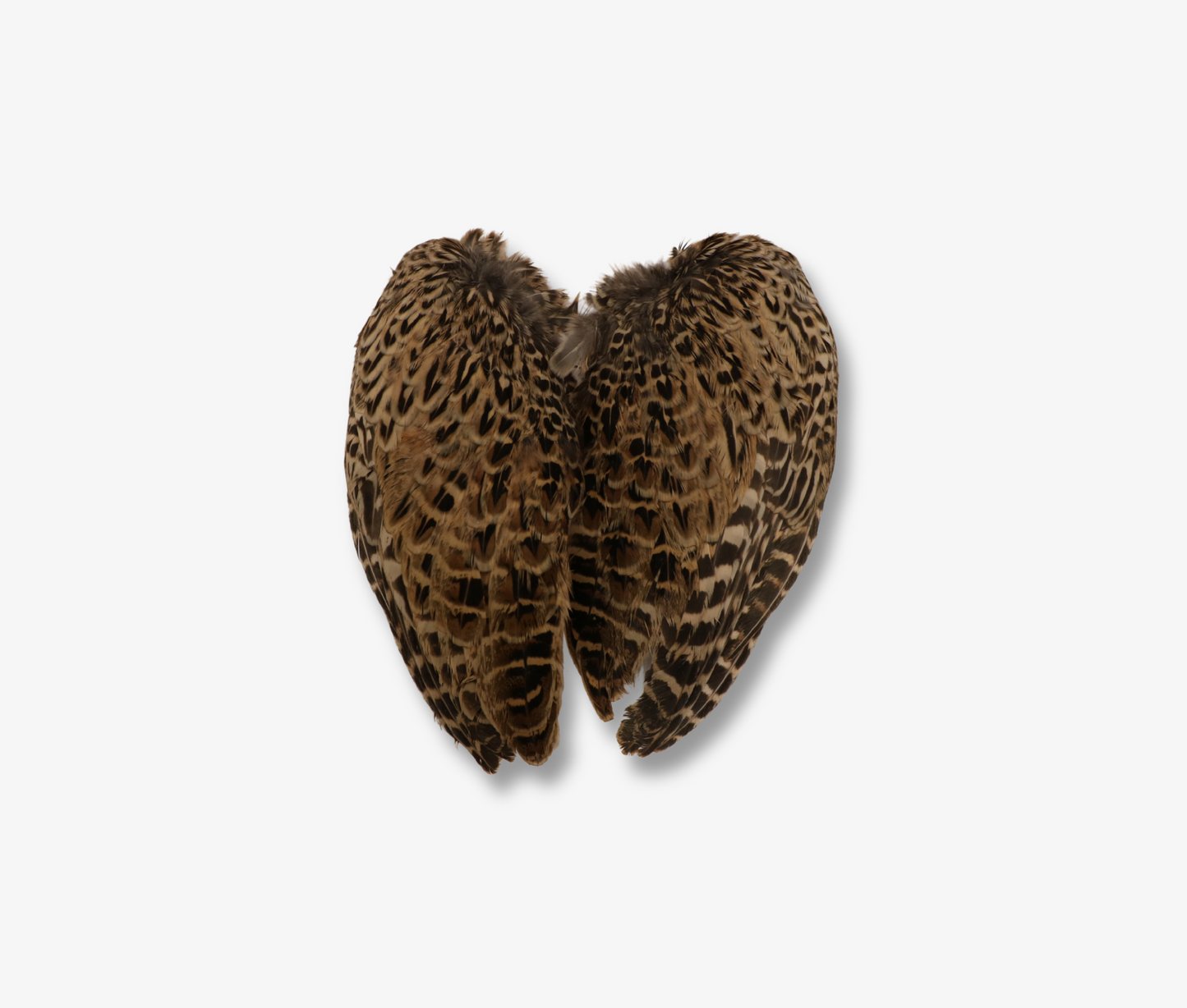 Air Dried Hen Pheasant Wings image 1