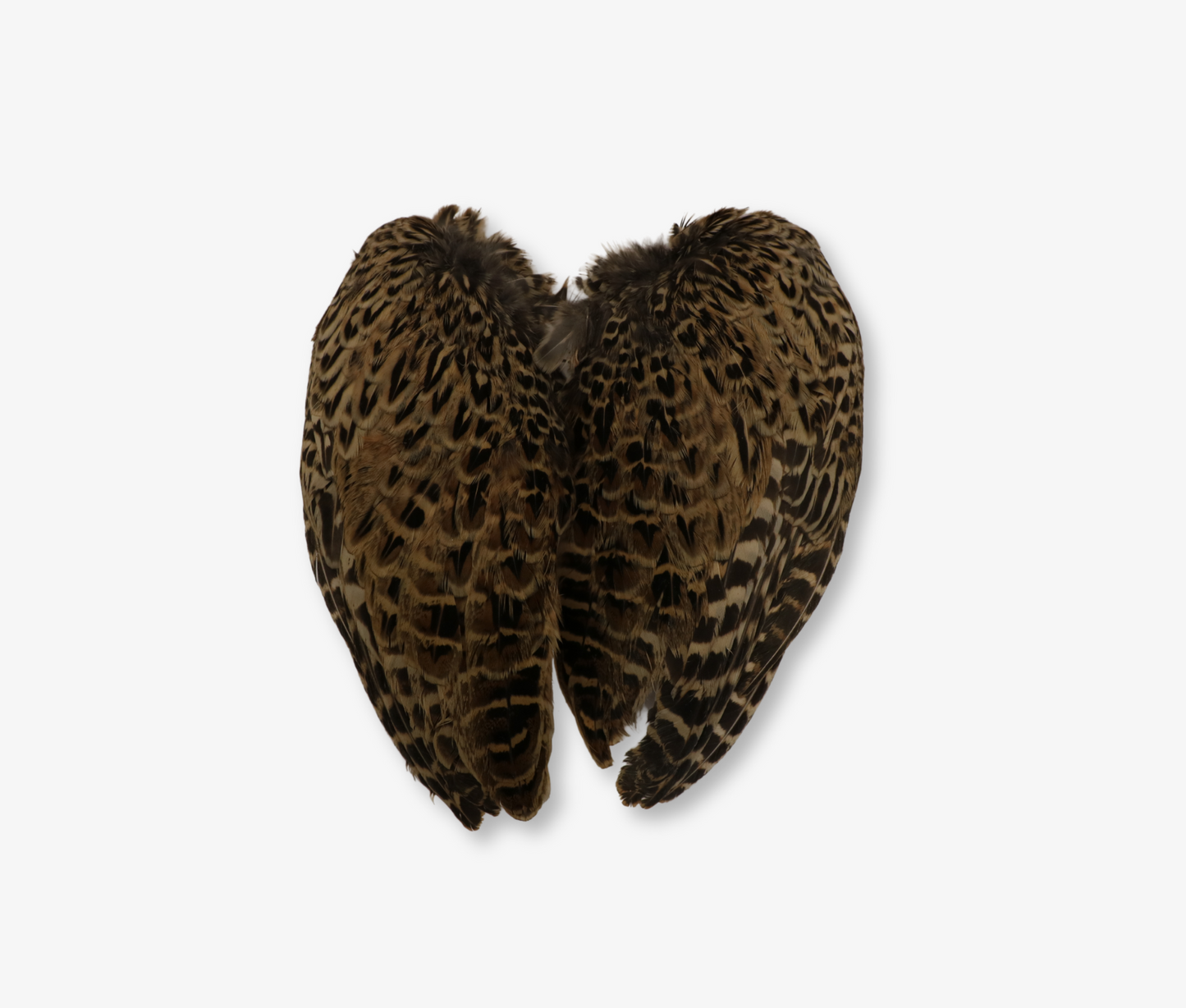 Air Dried Hen Pheasant Wings image 3