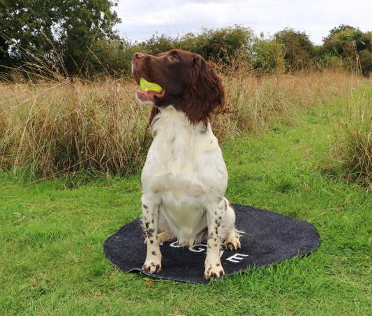 Kugae Circular Dog Training Mat