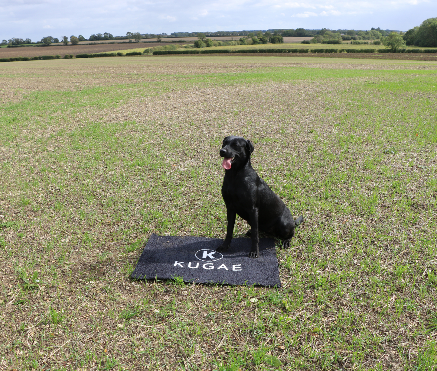 Kugae Dog Training Mat