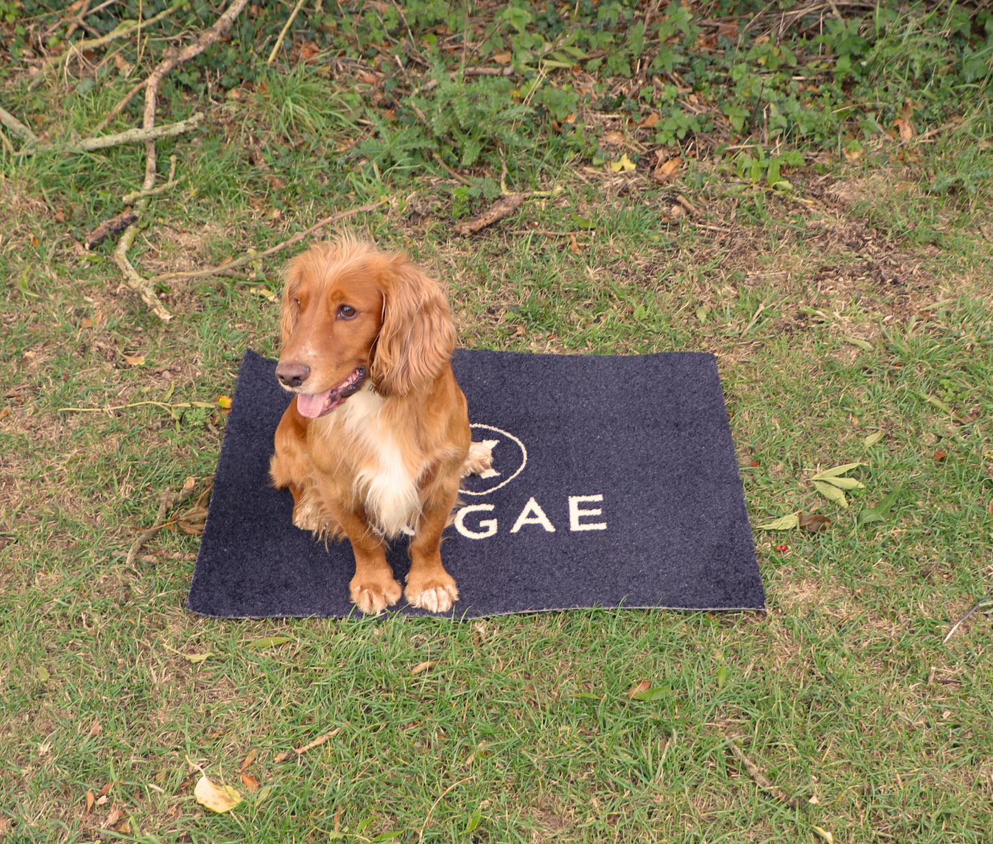 Kugae Dog Training Mat