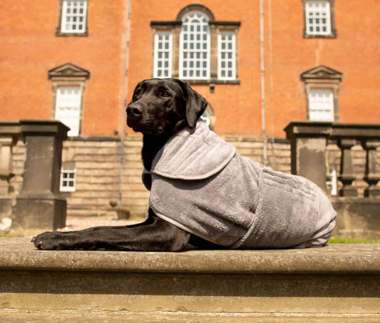 Drying Coat in Gun Metal