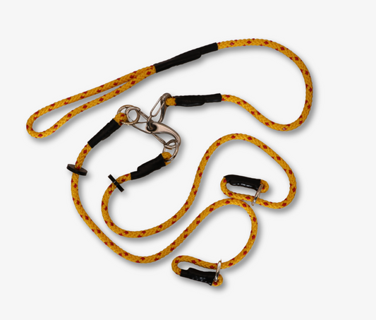 Double Training Lead for Two Retrievers image 0