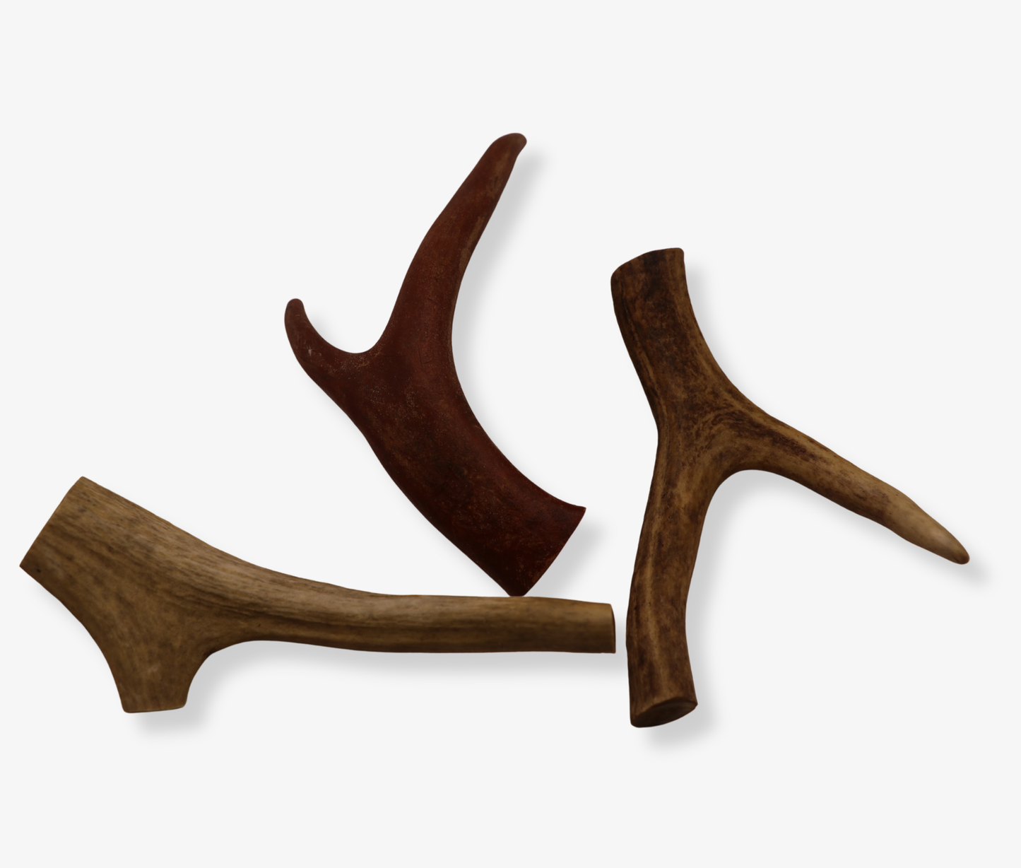 Natural Deer Antler Dog Chew