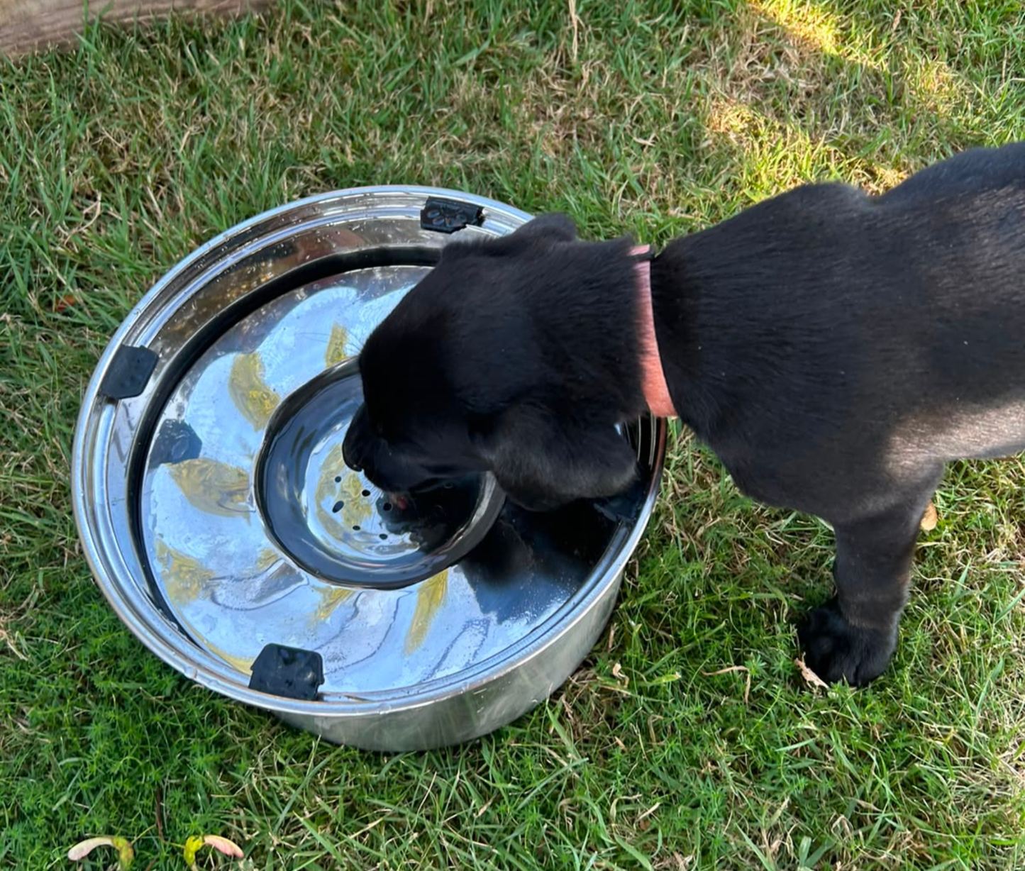 Kugae None Spill Water Bowl