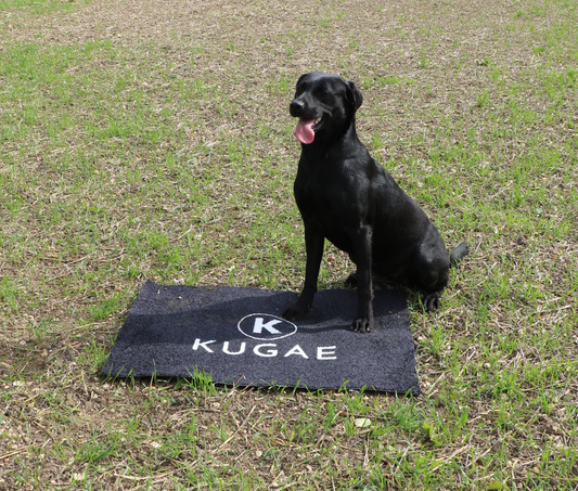 Kugae Dog Training Mat