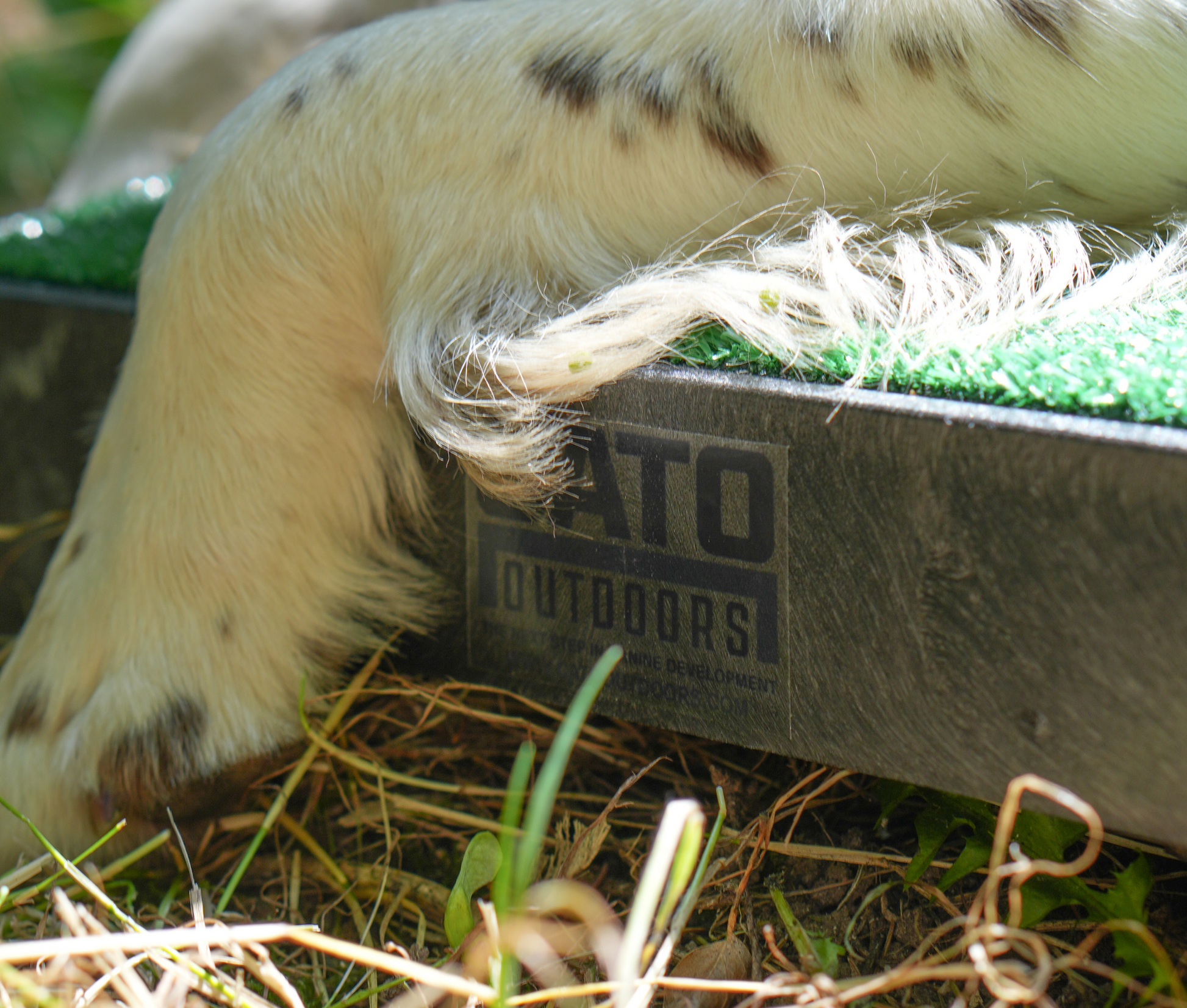 Cato Place Boards image 1