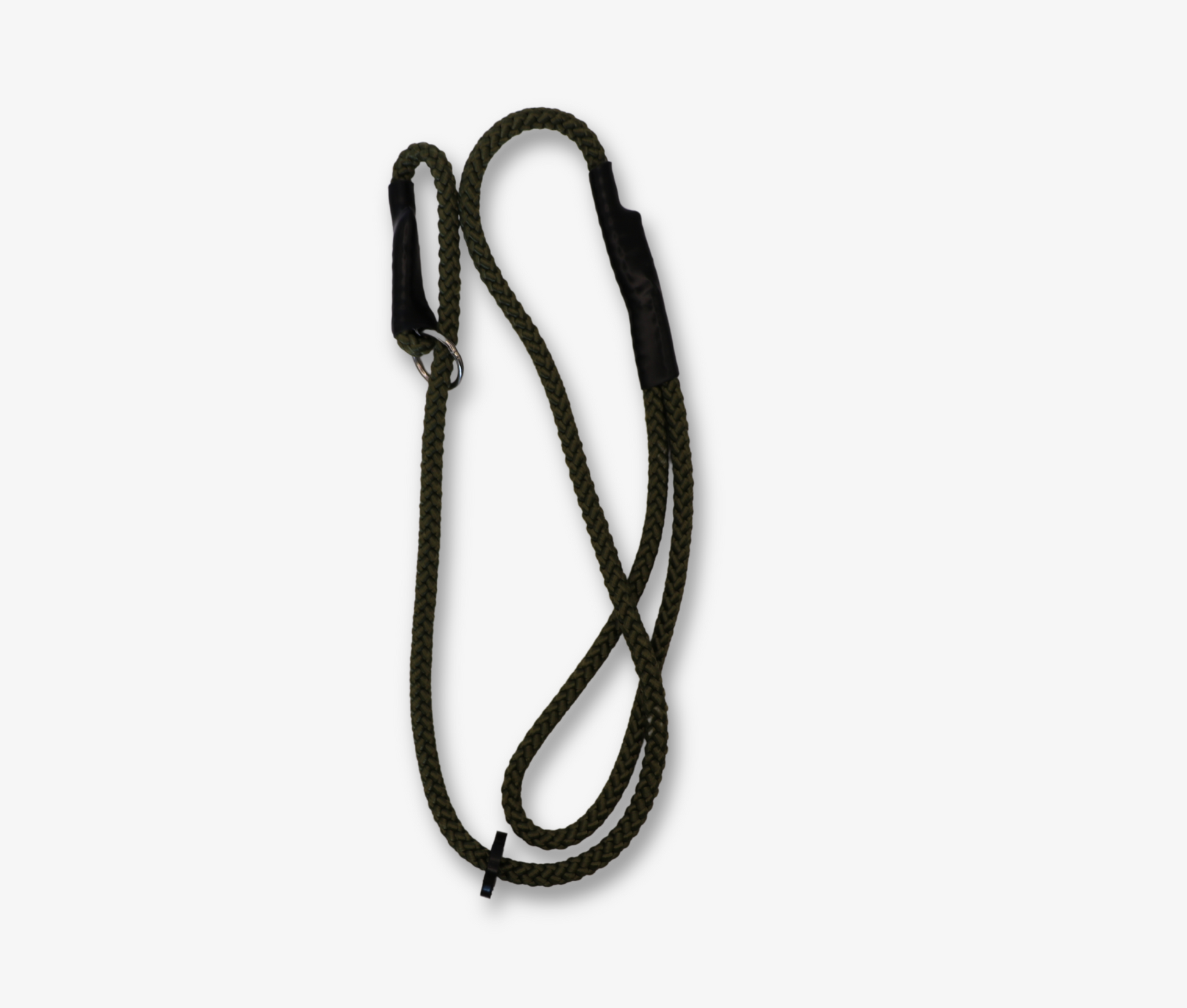 Spaniel Training Pack image 5