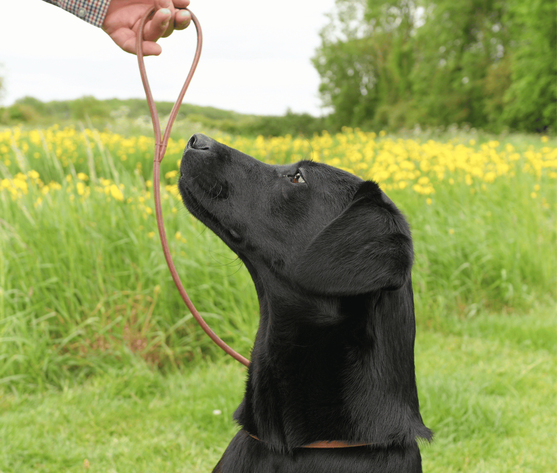 Kugae Leather Slip Lead image 3