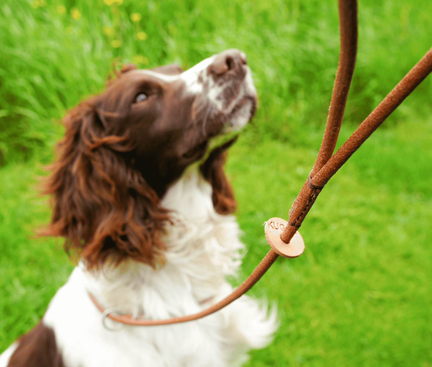 Kugae Leather Slip Lead image 0