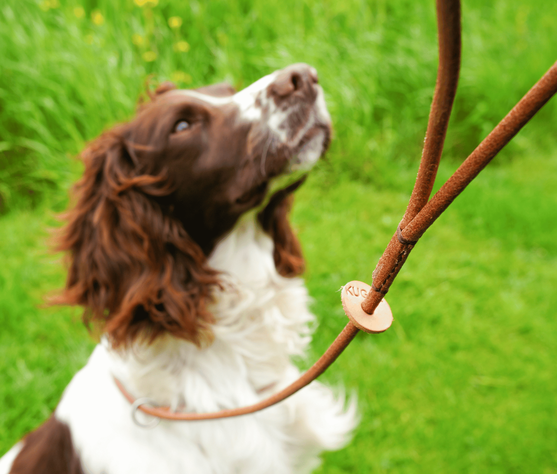 Kugae Leather Slip Lead image 0