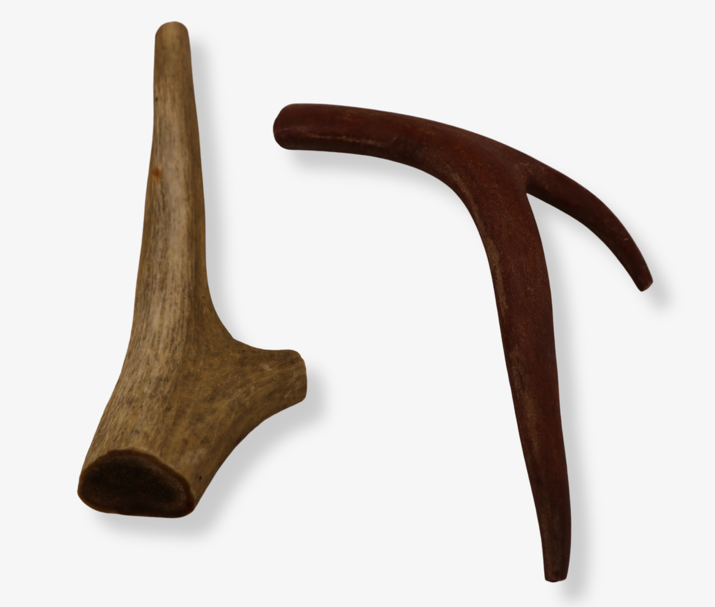 Natural Deer Antler Dog Chew