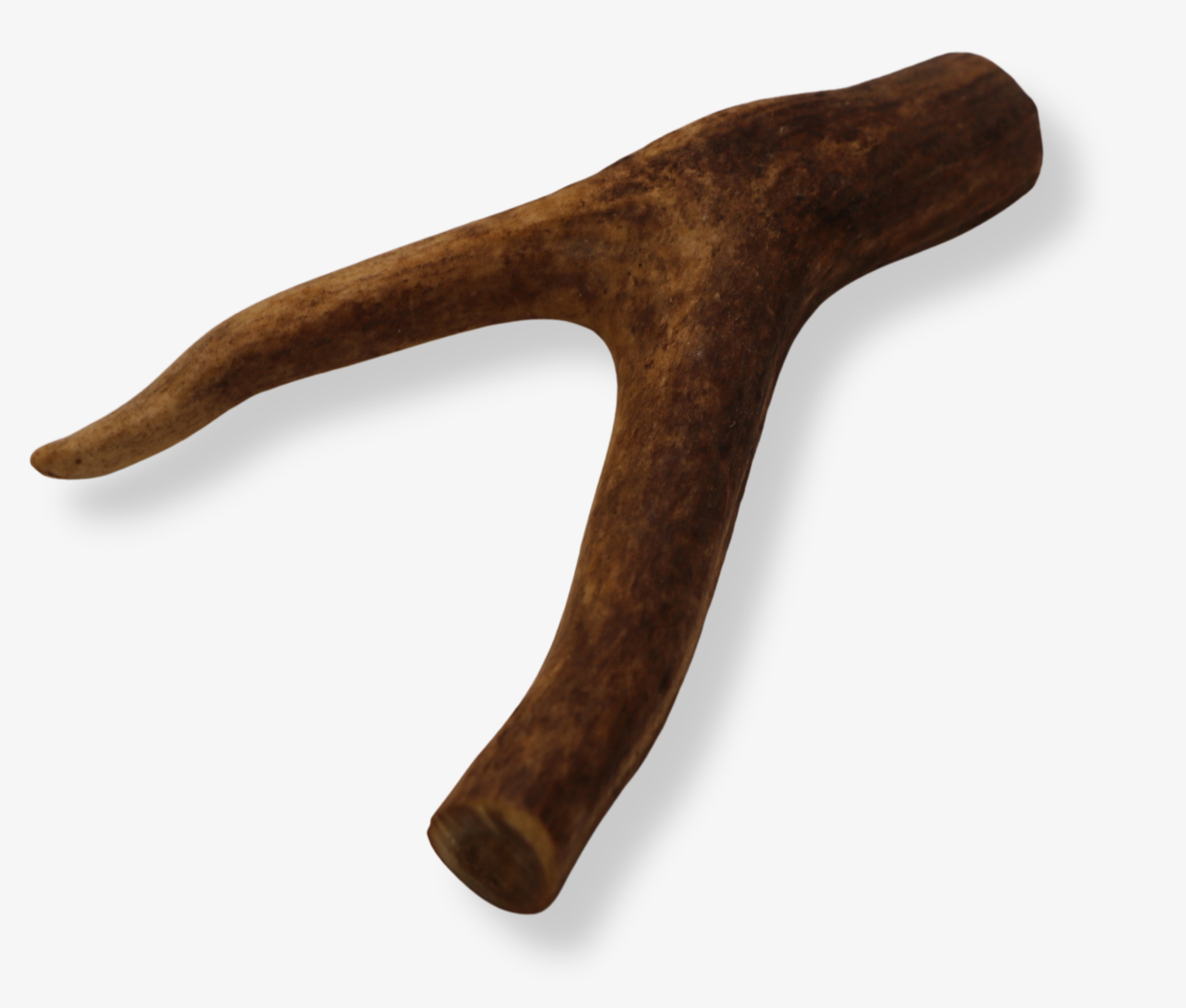 Natural Deer Antler Dog Chew