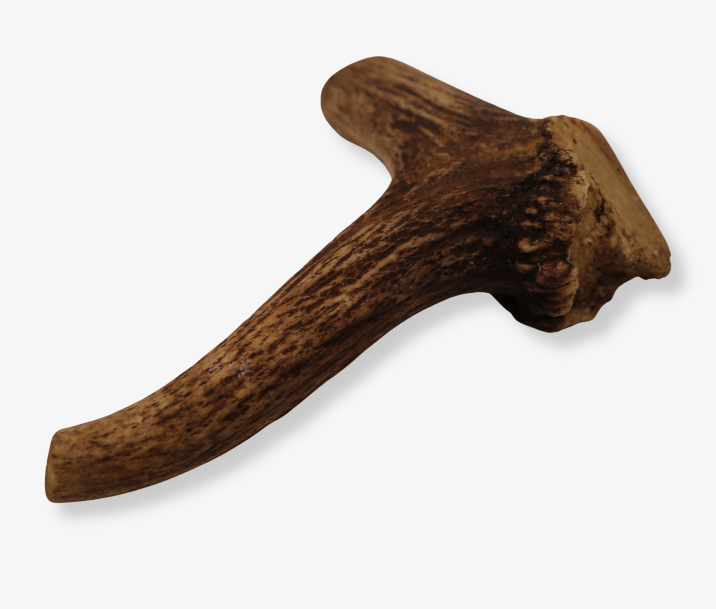 Natural Deer Antler Dog Chew
