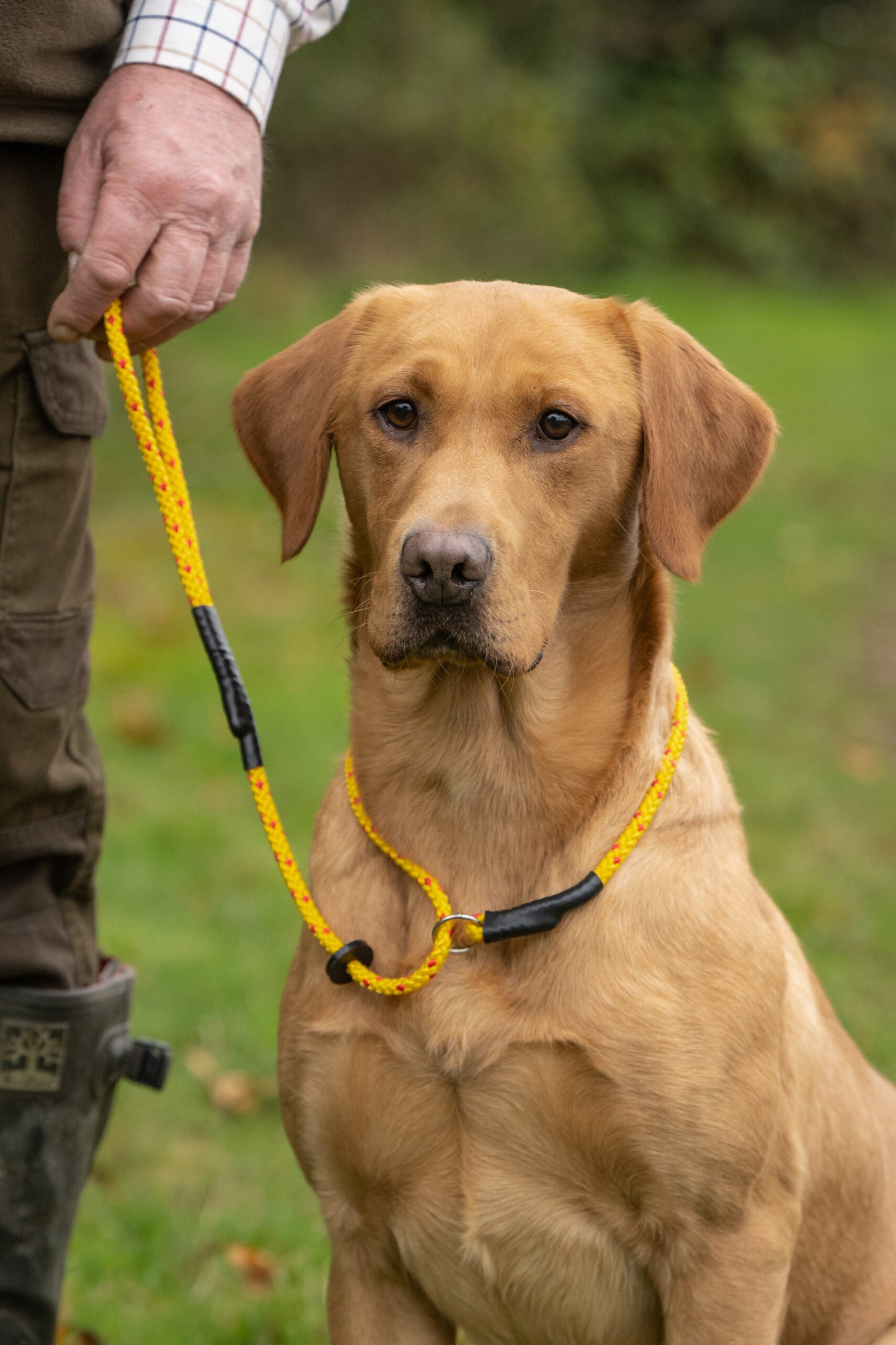 Kugae Slip Leads 8mm image 2