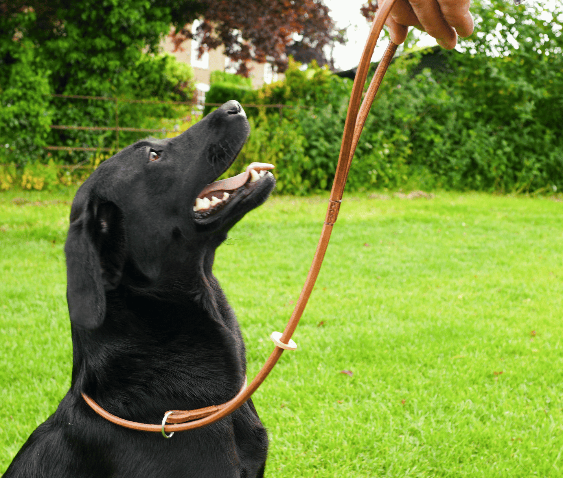 Kugae Leather Slip Lead image 4