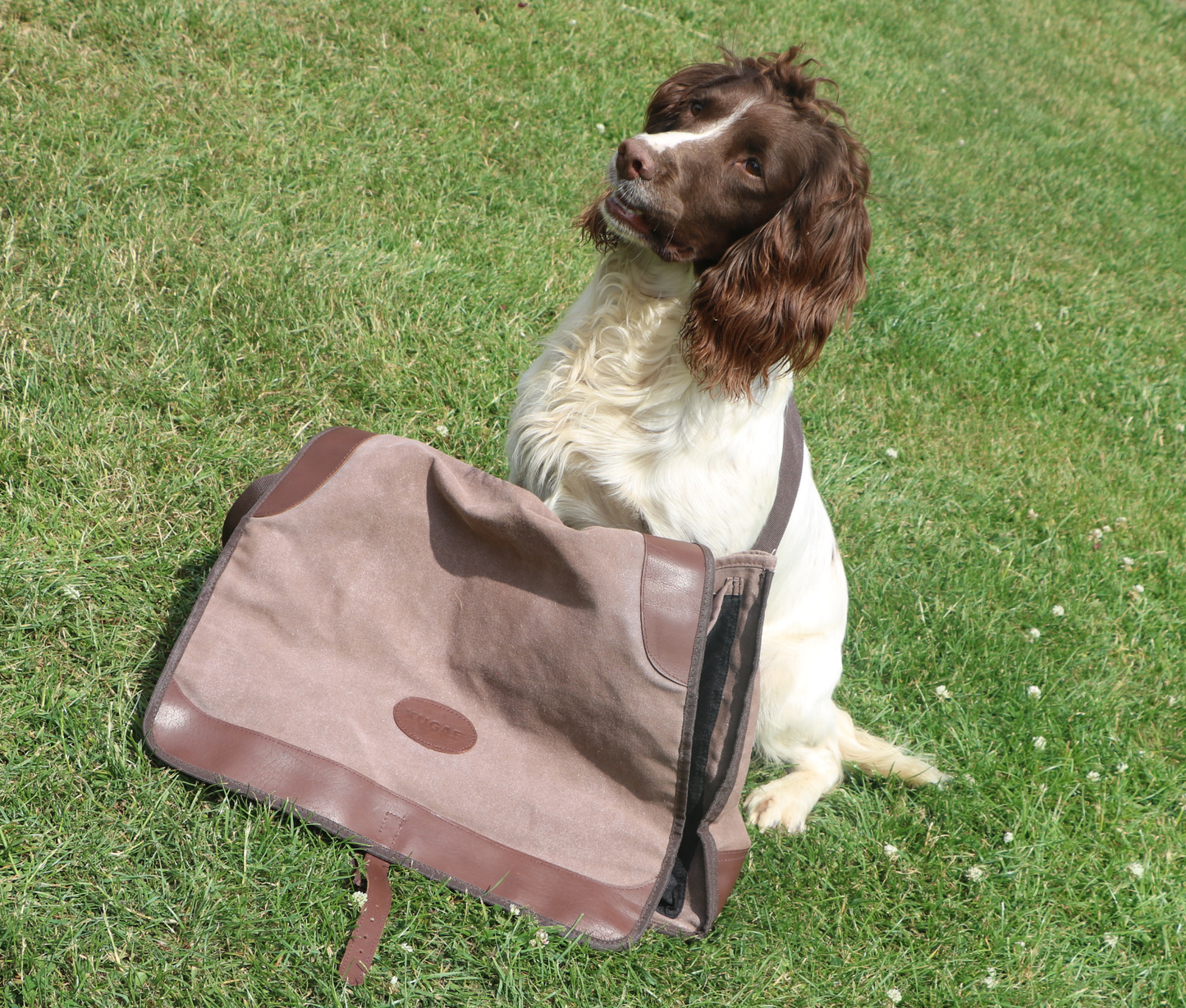 Kugae Game & Gundog Training Bag