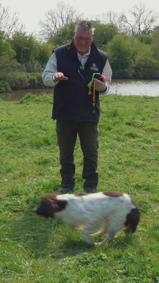 9m PVC Long Dog Training Lead – Reliable Control for Gundog Training