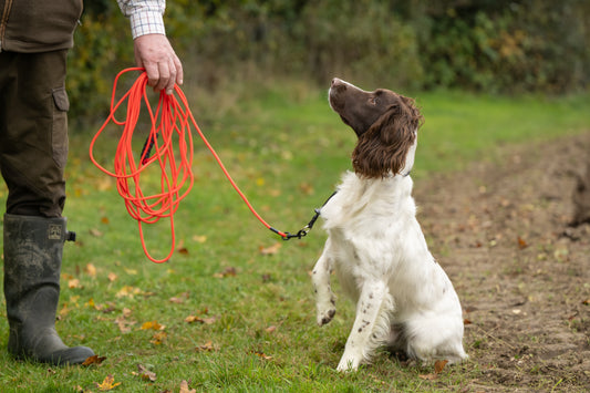 Kugae 9m PVC Long Dog Training Lead – Reliable Control for Gundog Training